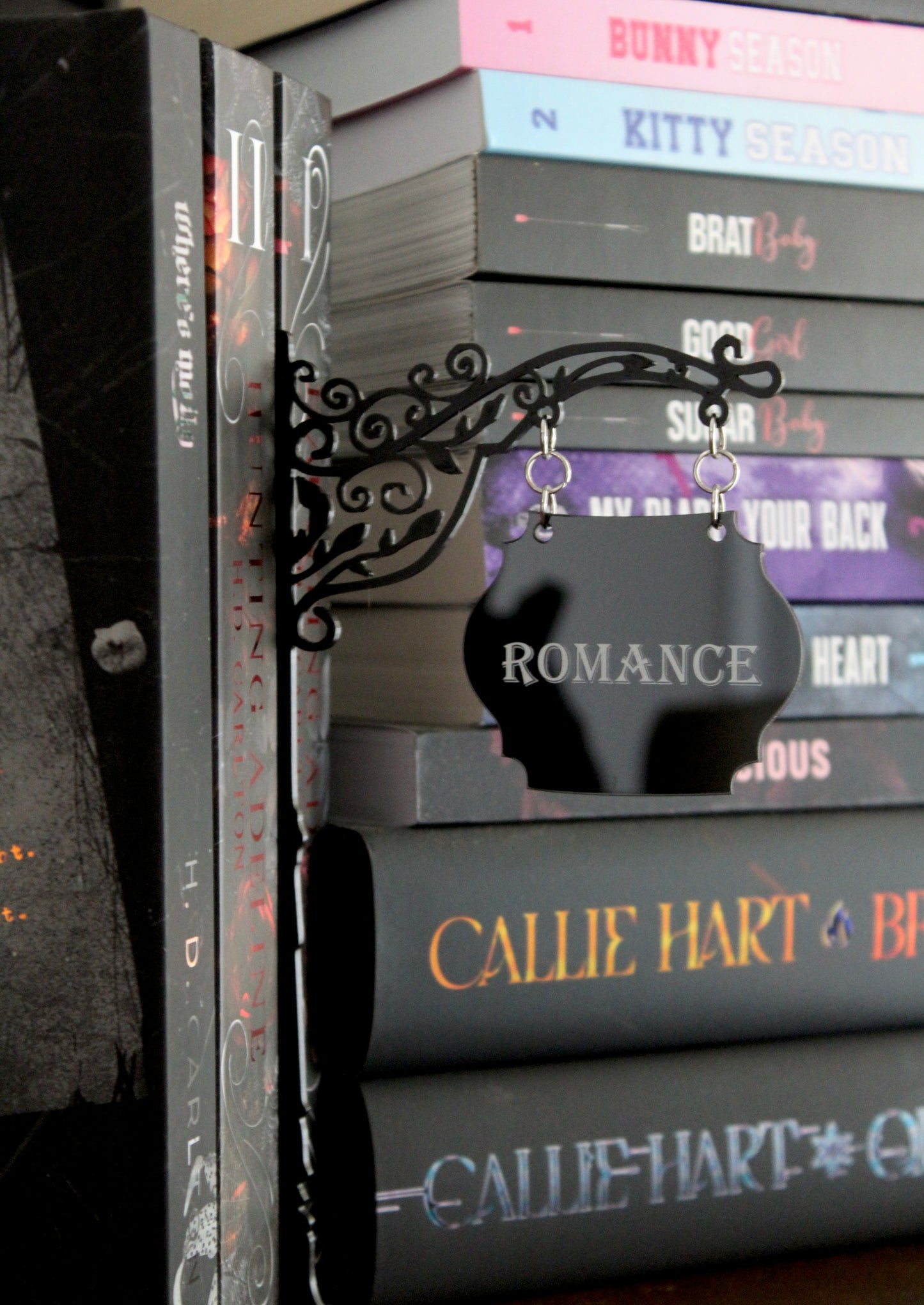 Bookshelf Category Divider